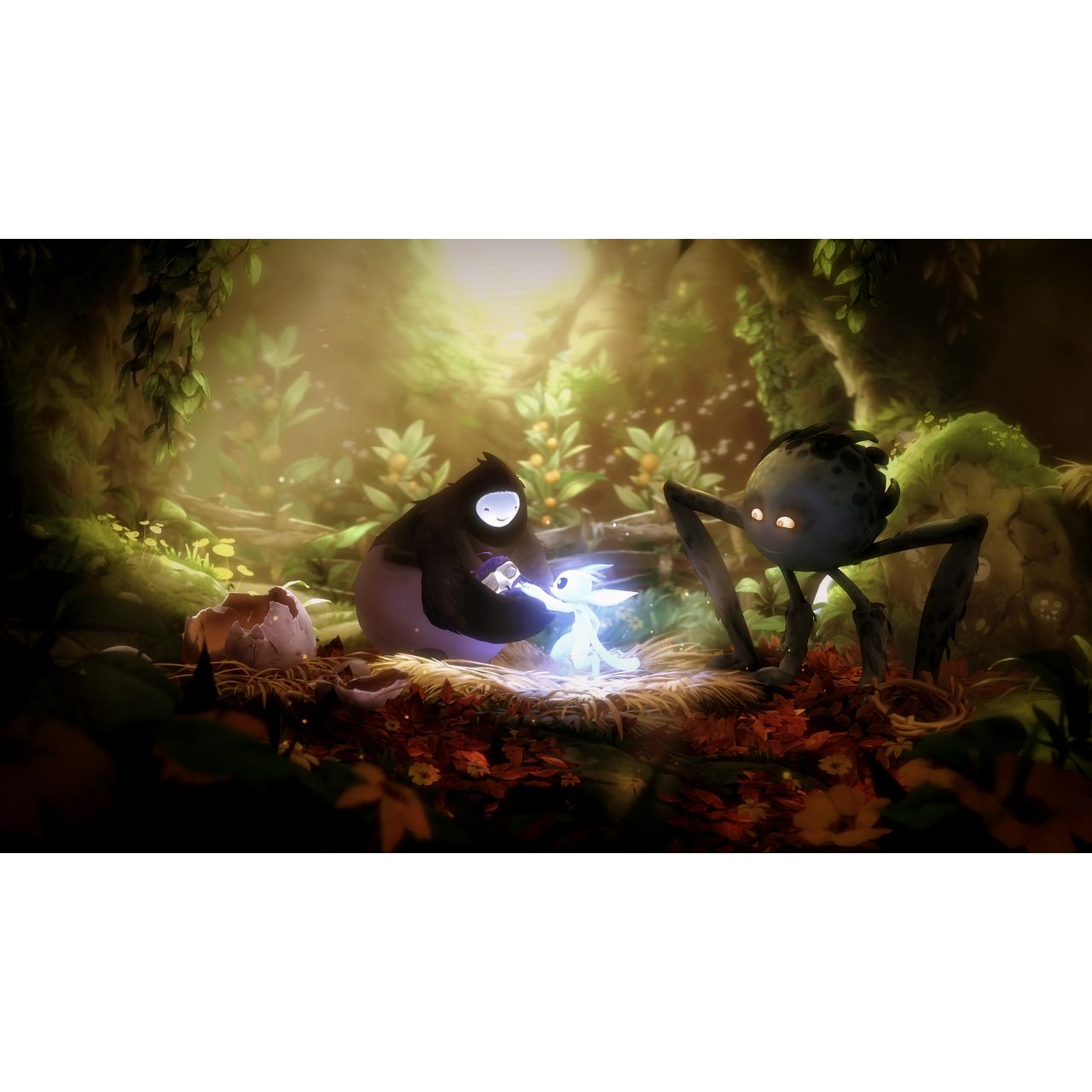 wisps 39 s