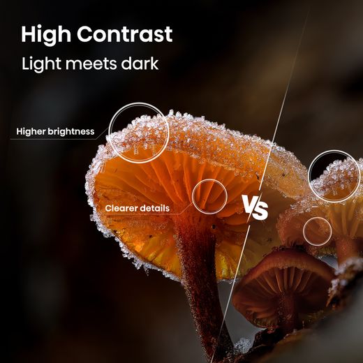 Hisense 40" Full HD QLED Smart TV [2026] - Annotation - High contrast
