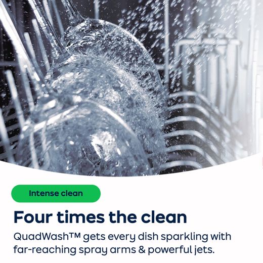 LG TrueSteam™ QuadWash™ Standard Dishwasher - Silver - AO Annotation - QuadWash™