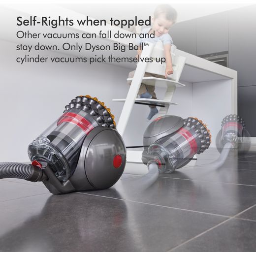 BigBallMultiFloor2_SI_dyson_vacuum_05a