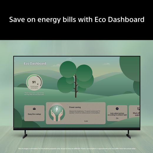 Sony Bravia 2 II 43" 4K Ultra HD LCD Smart Android TV - Annotation - Eco dashboard
