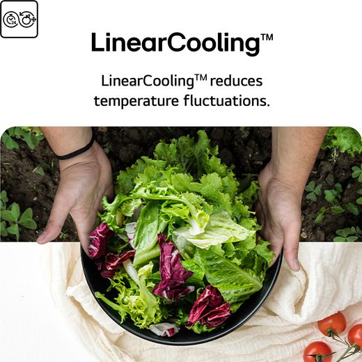 LG NatureFRESH™ American Fridge Freezer - Essence Black Steel - Annotation - LinearCooling