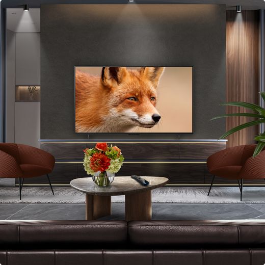 LG C55LA 4K Ultra HD Smart TV - Tv in living room shot