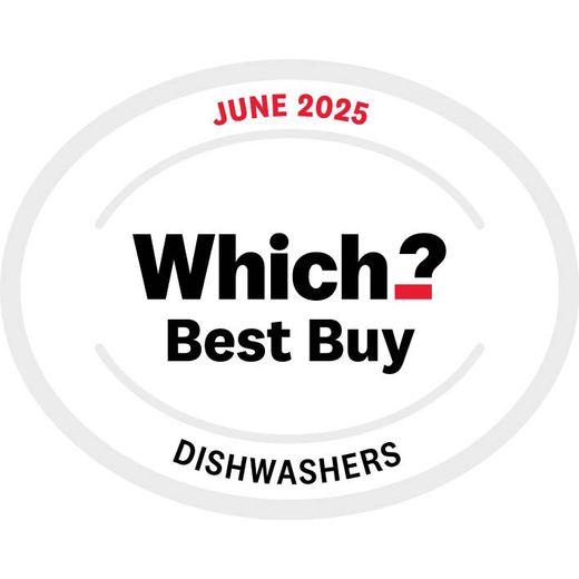 Bosch Series 6 Standard Dishwasher - Silver - Annotation - which award shot