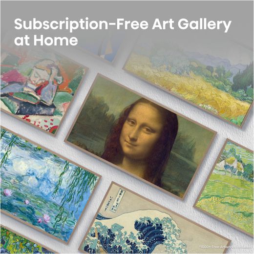 Hisense Canvas TV 65" 4K Ultra HD QLED Smart Freely TV [2026] - Annotation - Subscription free art gallery