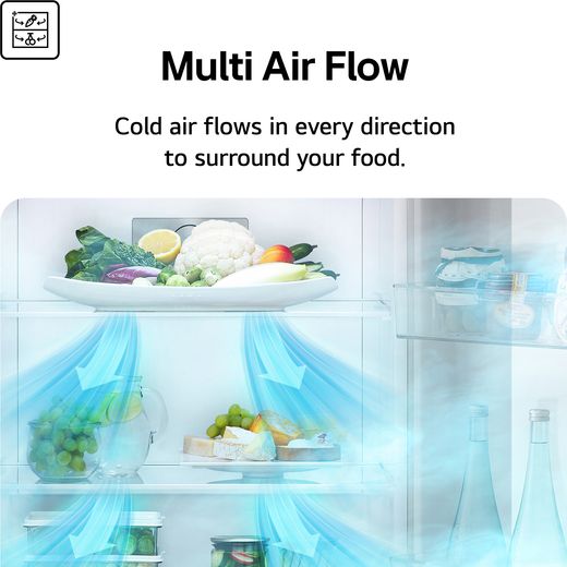 LG NatureFRESH™ American Fridge Freezer - Prime Silver - Annotation - Multi Air Flow