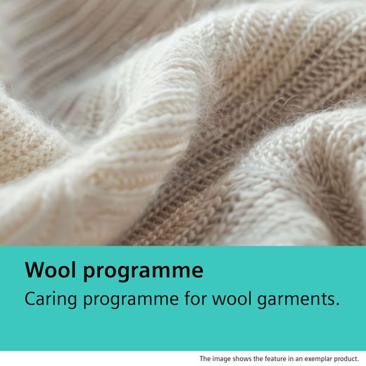 Siemens IQ-500 WQ45G203GB 9Kg Heat Pump Tumble Dryer - White - annotation - wool programme shot