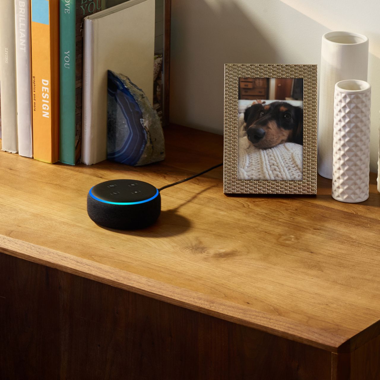 black amazon echo dot