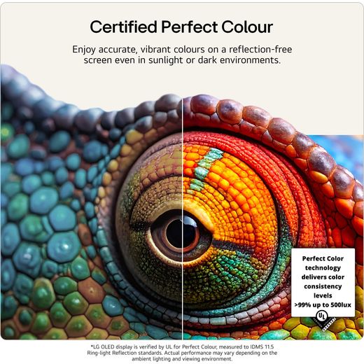 LG evo AI G6 48" 4K Ultra HD OLED Smart TV - Annotation - perfect colour shot