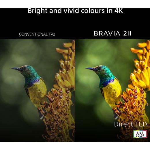Sony Bravia 2 II 43" 4K Ultra HD LCD Smart Android TV - Annotation - Vivid colours