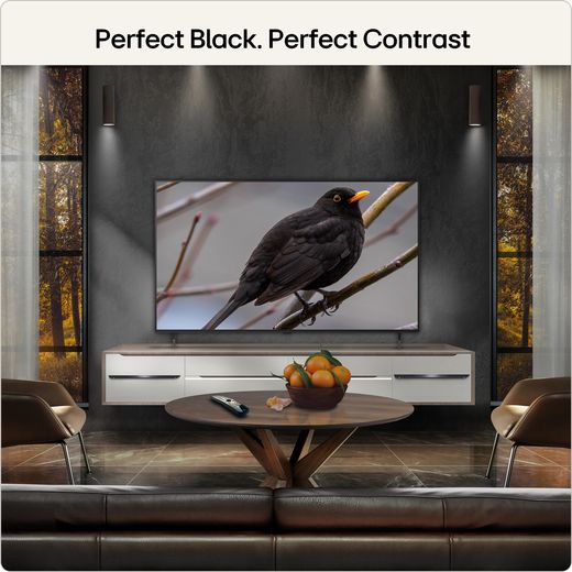 LG AI B6 55" 4K Ultra HD OLED Smart TV - Annotation - perfect contrast shot 