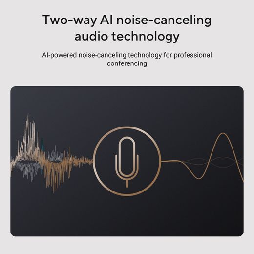 ASUS V500 - Grey - Annotation - AI noise cancelling