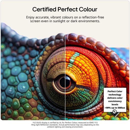 LG evo AI G6 65" 4K Ultra HD OLED Smart TV [2026] - Annotation - Perfect colour
