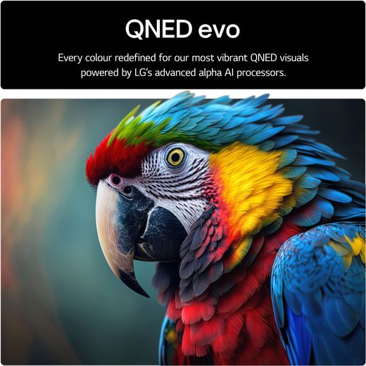 LG QNED92A6 55" 4K Ultra HD MiniLED Smart TV - Annotation - QNED evo