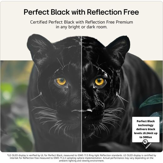LG evo AI G6 55" 4K Ultra HD OLED Smart TV [2026] - Annotation - Perfect black