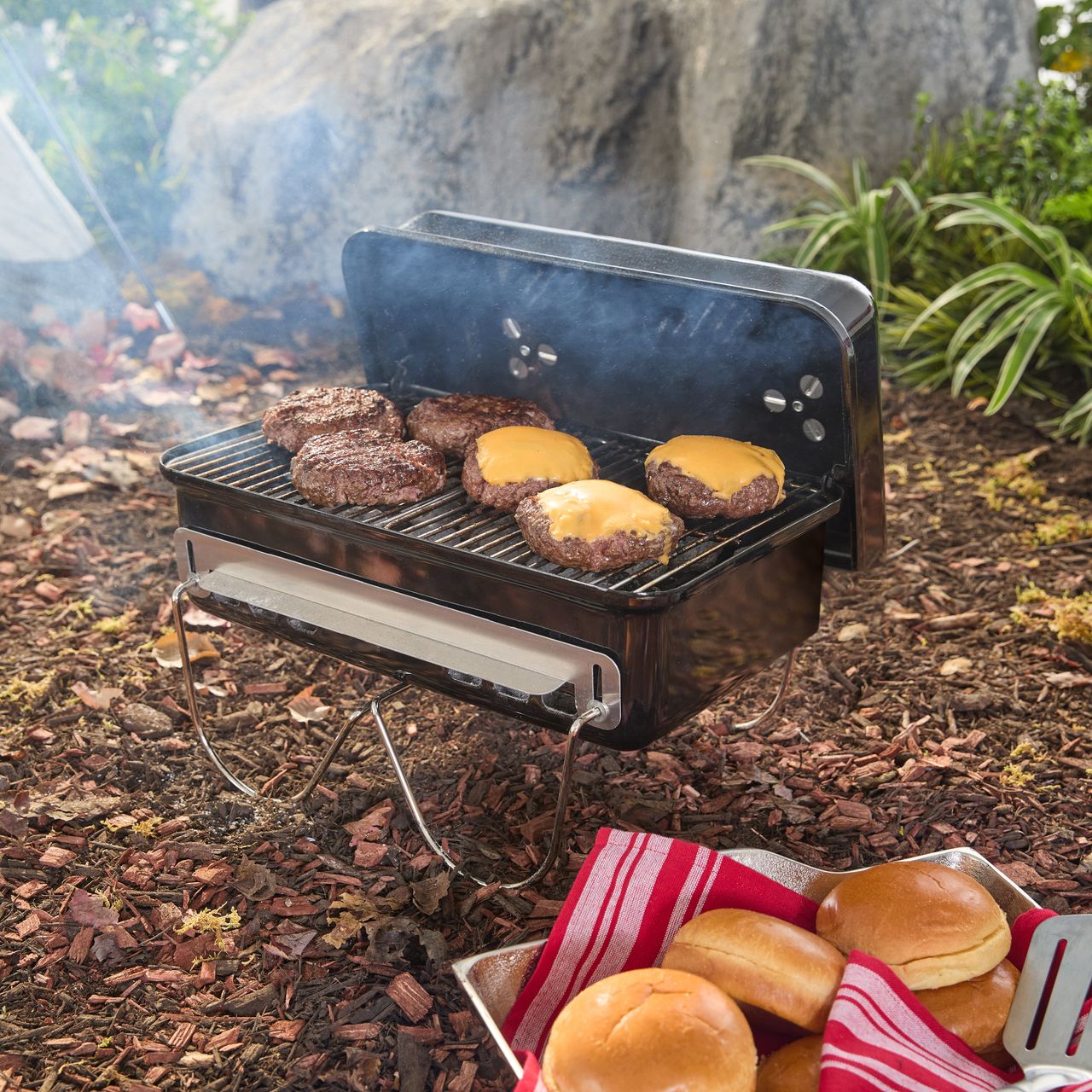 Weber Go-Anywhere portable barbecue | 1131004 | ao.com