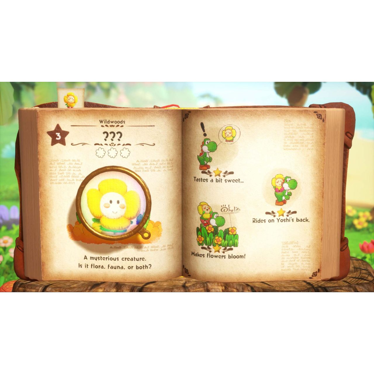 Yoshi and the Mysterious Book | S2KEADNIN31411 | ao.com