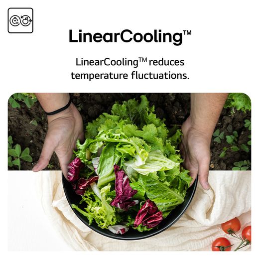 LG American Fridge Freezer - Prime Silver - Annotation - LinearCooling