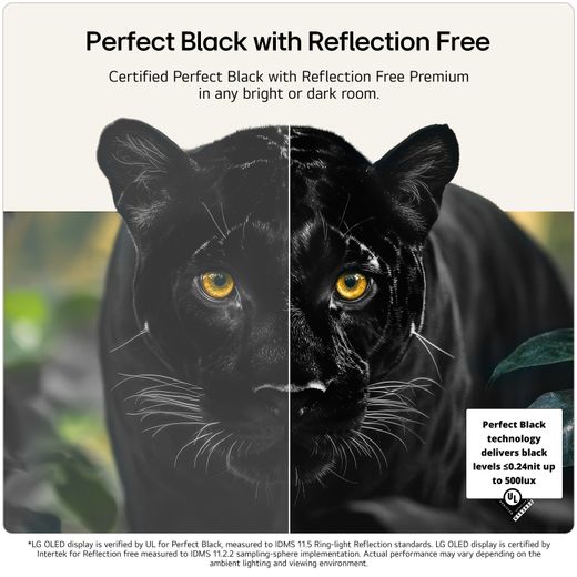 LG evo AI G6 65" 4K Ultra HD OLED Smart TV [2026] - Annotation - Perfect black