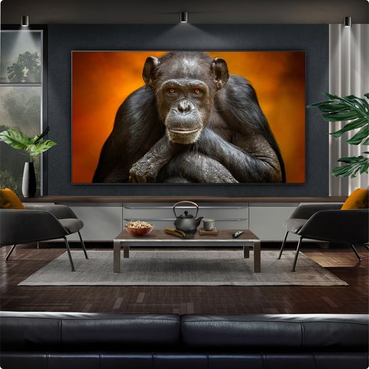 LG G54LW 83" 4K Ultra HD OLED Smart TV - TV in room