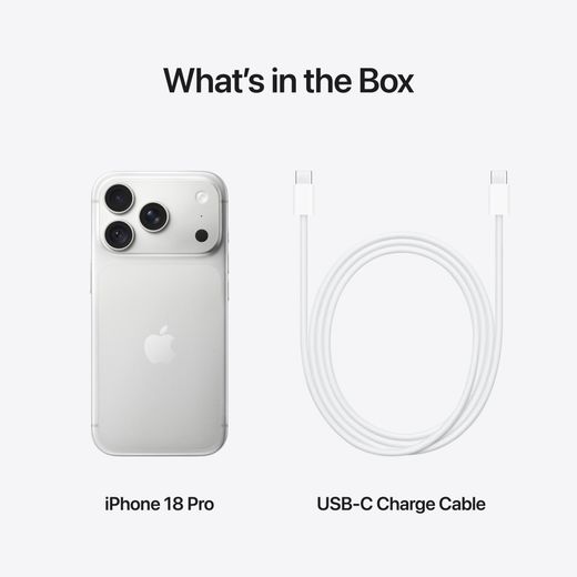 Apple in Silver - Annotation - whats in the box