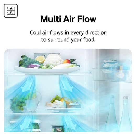 LG American Fridge Freezer - Prime Silver - Annotation - Multi Air Flow