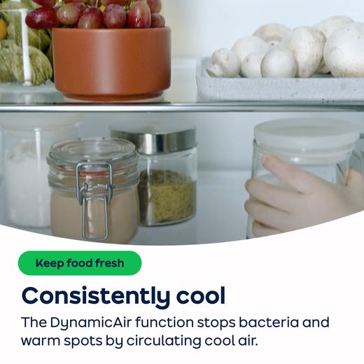 AEG 6000 Series ORK6D391EW Fridge - White - AO Annotation - DynamicAir