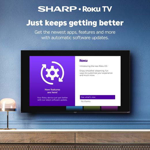 Sharp HD2225K 32" HD Smart Roku TV [2025] - Annotation - Updates
