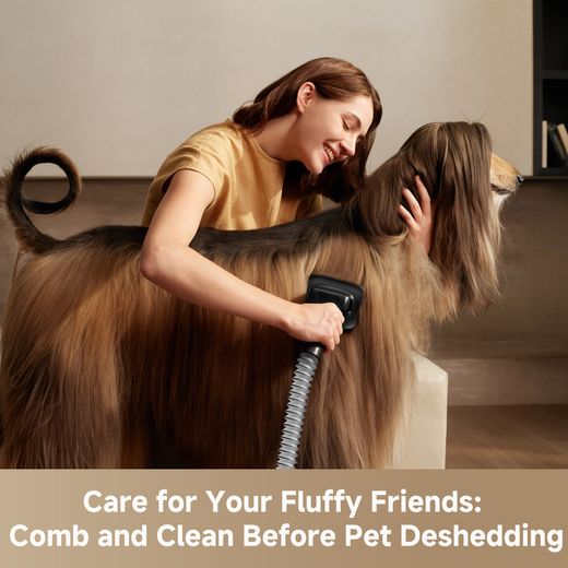 Dreame Z30 Cordless Vacuum Cleaner - Black - Annotation - Pets