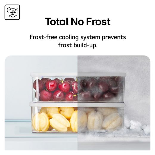 LG NatureFRESH™ American Fridge Freezer - Prime Silver - Annotation - Total No Frost
