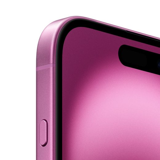 Apple in Pink - Close up