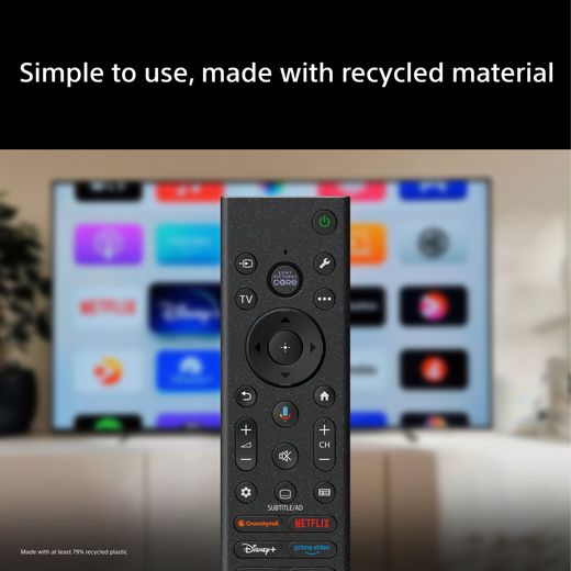 Sony Bravia 2 II 43" 4K Ultra HD LCD Smart Android TV - Annotation - Remote