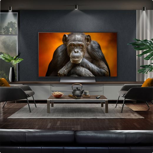 LG G56LS 4K Ultra HD Smart TV - Tv in living room shot