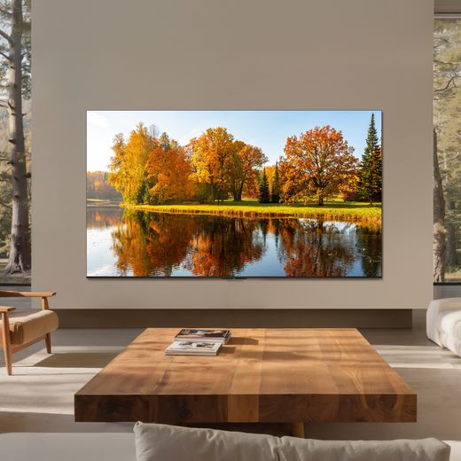 TCL 55" 4K Ultra HD SQD-Mini LED Smart Google TV - tv in living room shot 