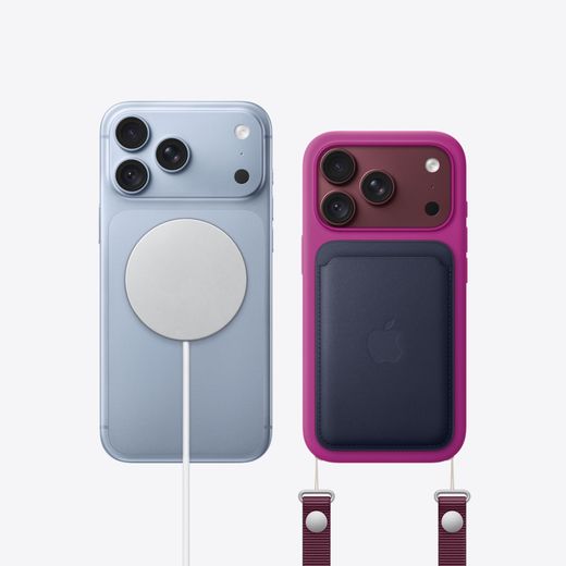 Apple in Silver - accessories