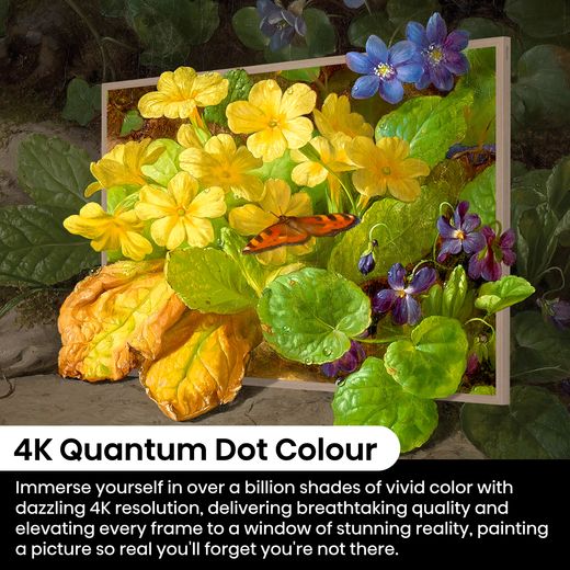 Hisense S7NQ Canvas 65" 4K Ultra HD QLED Smart Freely TV - Annotation - Quantum dot shot 