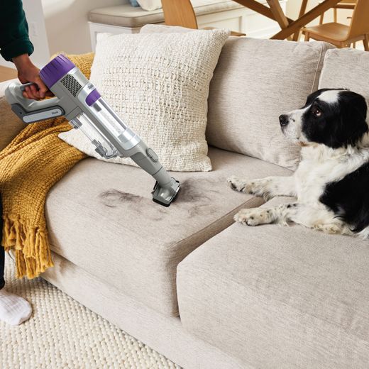 Shark PowerDetect IP1251UKT Cordless Vacuum Cleaner with up to 70 Minutes Run Time - White / Java Grey - Cleaning dog hair from couch