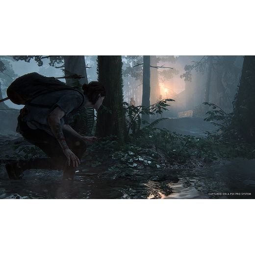 The Last of Us Part 2 for PlayStation 4