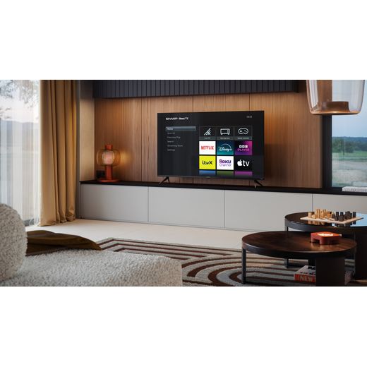 4T-C55HJ4225KB - TV in living room shot