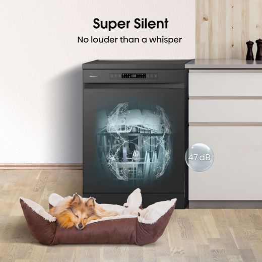 Hisense Standard Dishwasher - Black - Annotation - Self clean