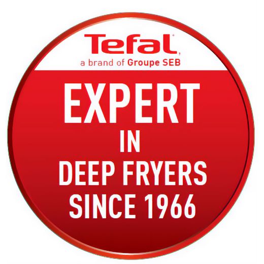 Tefal Oleoclean Pro 3.5 L FR804040 Deep Fryer - Silver - Annotation - Expert in deep fryers since 1966