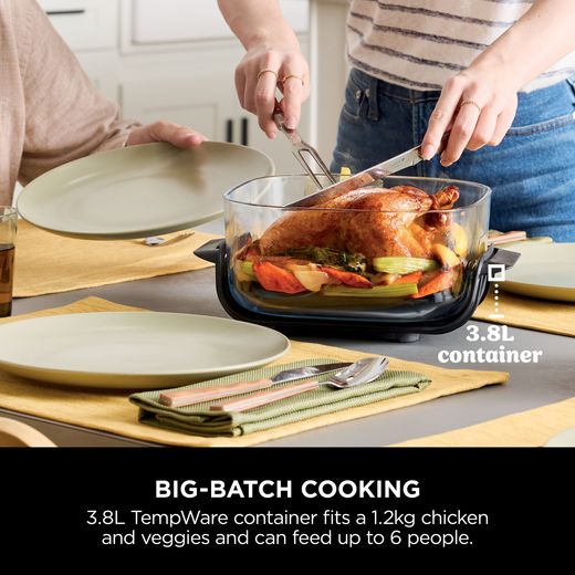 Ninja FN101UKST Air Fryer - Stone - Annotation - Big batch cooking shot