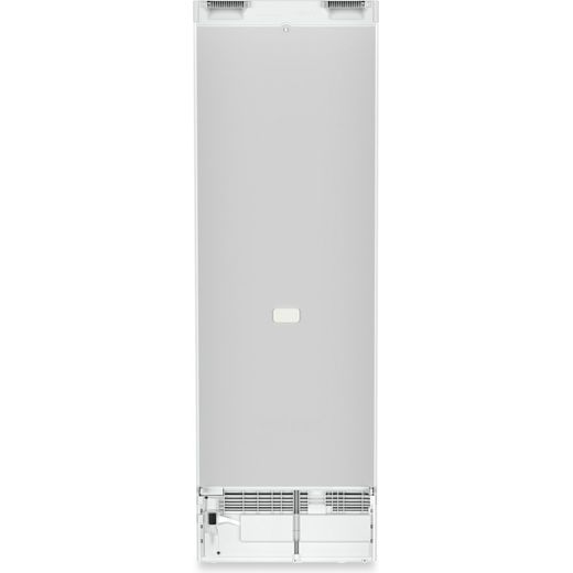 Liebherr Plus RD5220 186cm Fridge - White - Back shot