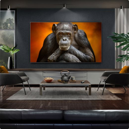 LG G54LW 4K Ultra HD Smart TV - Tv in living room shot