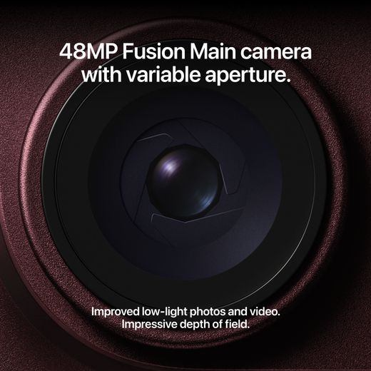 Apple in Silver - Annotation - camera