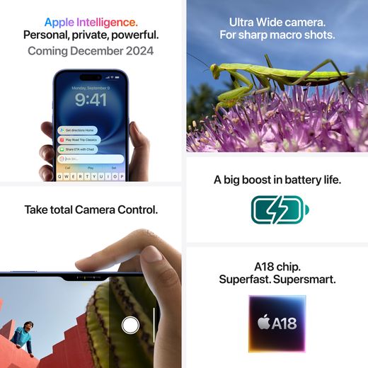 Apple in Pink - Annotation - Features