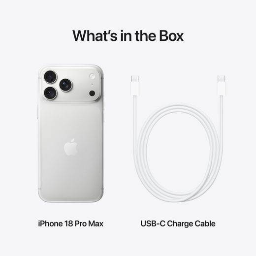 Apple in Silver - Annotation - whats in the box