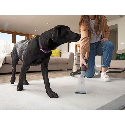 George GVE370 Wet and Dry Cleaner - Cleaning a rug next to a black dog