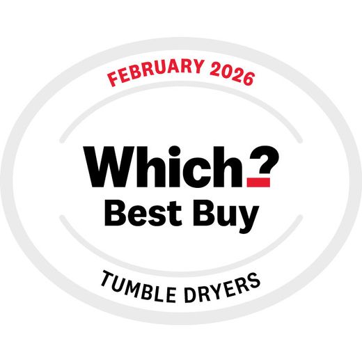 Bosch Series 6 WQG245R2GB 9Kg Heat Pump Tumble Dryer - Graphite - Annotation - which award