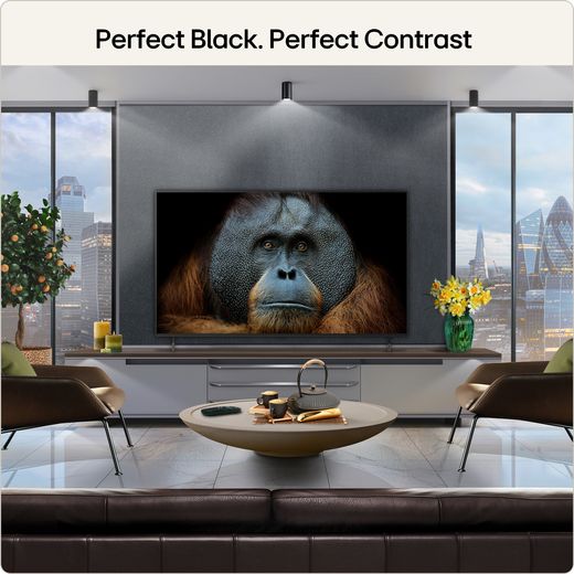 LG AI B6 55" 4K Ultra HD OLED Smart TV - Annotation -perfect contrast shot 